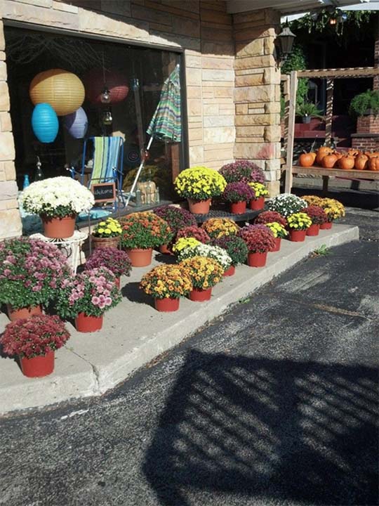 Flowers On Main Florists IL